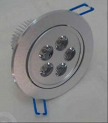 LED Down Light