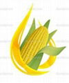 Refined Corn Oil 1