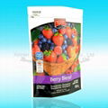 Dried fruit bag 1