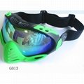 Ski Goggle G013