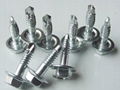 Drywall screws, self tapping screw, chipboard screw 2