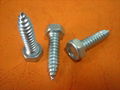 Drywall screws, self tapping screw, chipboard screw 3