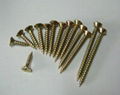 Drywall screws, self tapping screw, chipboard screw 4