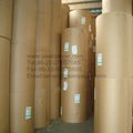 Brown Kraft Paper for Packing or Made Bags 1