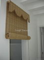 China Bamboo Blind 2