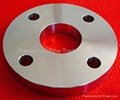 stainless Steel Flange