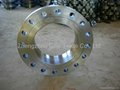 stainless Steel Flange 3