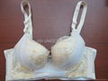 JISI brassiere