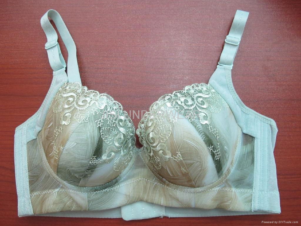 JISI brassiere 2