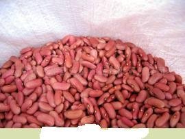 淡红芸豆