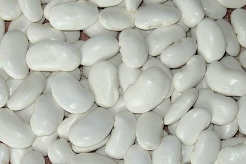 large white kidney beans