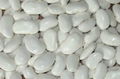 large white kidney beans 1