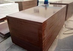 black brown film faced plywood for