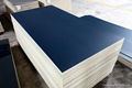 1220x2440x15/18mm plastic faced plywood