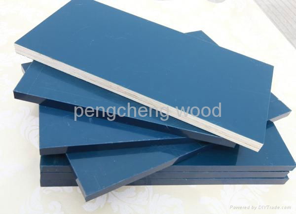 polypropylene(PP) plastic film faced plywood for construction