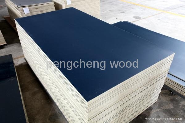 polypropylene(PP) plastic film faced plywood for construction 3