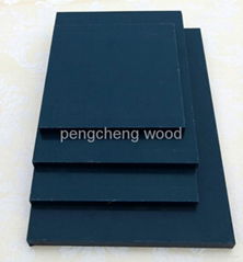 PP plastic veneer plywood for concrete wall formwork