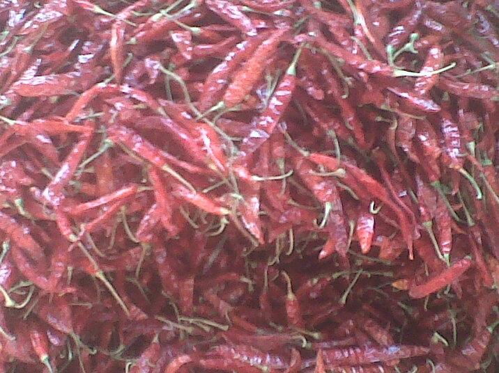 Dried Chillies