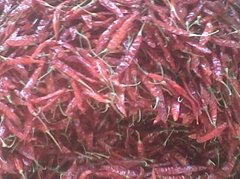 Dried Chillies