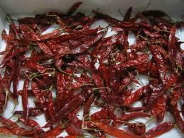 Dried Chillies 2