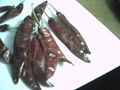 Dried Chillies 4