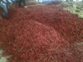 Indian Dried Chillies 2