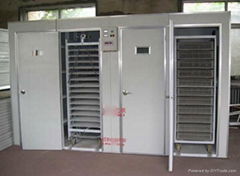 Big model Hatchery Egg Incubator YZITE-30