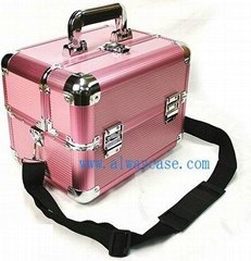 Pink Metal Cosmetic Case