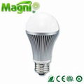 6W LED Bulb Light 1