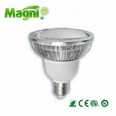 9W LED PAR Light