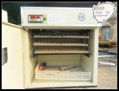 2012 CE Approved 264 eggs Chicken Incubator eggs 1