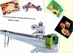 Servo Automatic Packaging Machine (CB-300S)