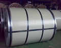 galvnaized steel coil 2