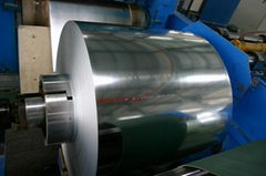 galvalume steel coil