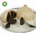 Japanese single clove black garlic