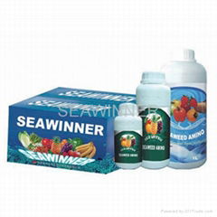 seaweed amino