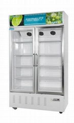 glass door beverage chiller and cooler