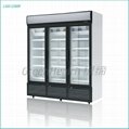 upright display fridge freezer 2