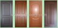 Melamine Door