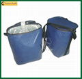 cooler bags 1