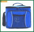 cooler bags 5