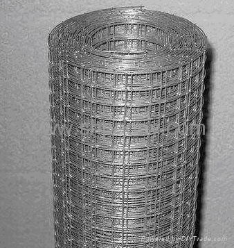 galvanized welded wire mesh