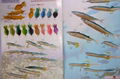 fishing lure 3