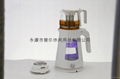 Double shell glass Electric tea maker