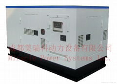 45KW NG generator