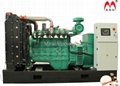 260KW NG generator