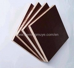3*6/4*8ft 120g/m2 Brown film faced plywood