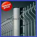  hot dipped or electro galvanized welded wire mesh fence 4