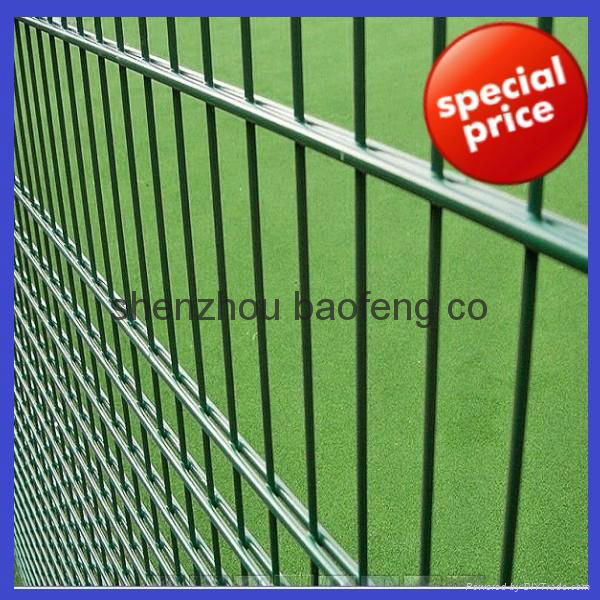 double wire decorative fence 2