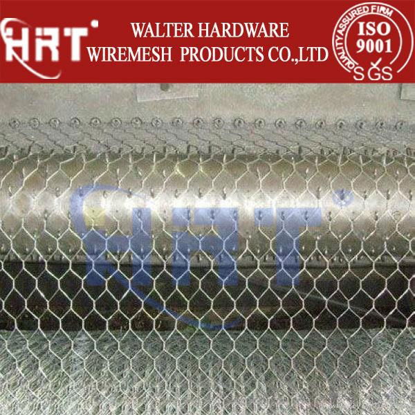 Anping hexagonal mesh 2